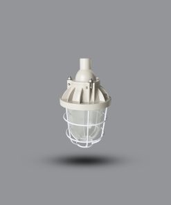 Đèn phòng chống nổ hiệu EEW BCD200