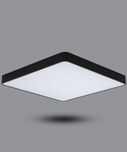 Đèn LED gắn nổi hoặc treo trần PPBA48L6060