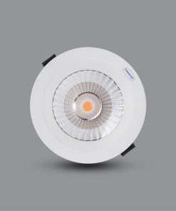 chon-den-led Paragon PRDAB-1