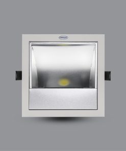 Đèn LED Downlight chiếu tranh 20W âm trần PRDXX176L20