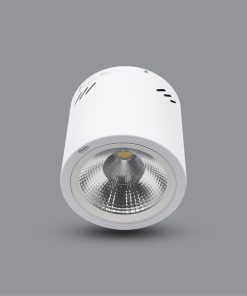 Đèn LED Downlight 20W gắn nổi PSDOO170L20