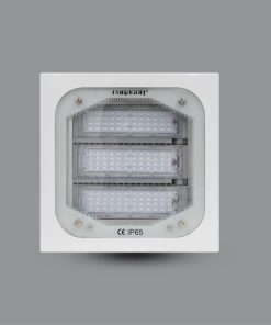 Đèn LED pha CANOPY PUCH12065L